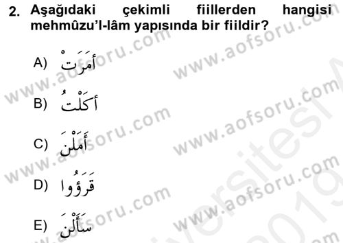 Arapça 2 Dersi 2018 - 2019 Yılı (Final) Dönem Sonu Sınav Soruları 2. Soru