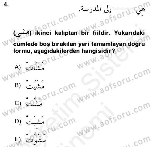 Arapça 2 Dersi 2018 - 2019 Yılı (Final) Dönem Sonu Sınav Soruları 4. Soru