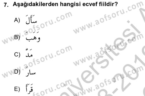 Arapça 2 Dersi 2018 - 2019 Yılı Yaz Okulu Sınav Soruları 7. Soru