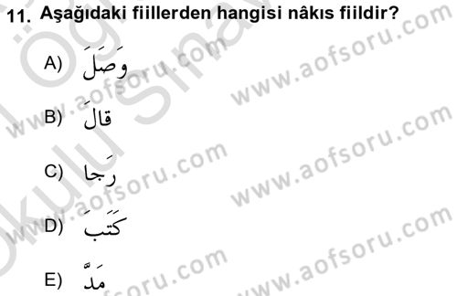 Arapça 2 Dersi 2020 - 2021 Yılı Yaz Okulu Sınav Soruları 11. Soru
