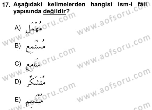 Arapça 2 Dersi 2020 - 2021 Yılı Yaz Okulu Sınav Soruları 17. Soru