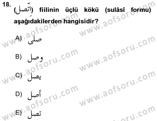 Arapça 2 Dersi 2020 - 2021 Yılı Yaz Okulu Sınav Soruları 18. Soru