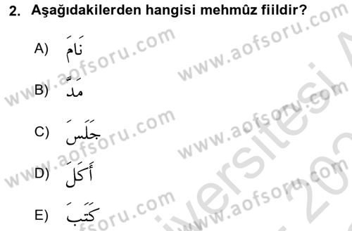 Arapça 2 Dersi 2020 - 2021 Yılı Yaz Okulu Sınav Soruları 2. Soru