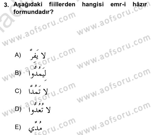 Arapça 2 Dersi 2020 - 2021 Yılı Yaz Okulu Sınav Soruları 3. Soru
