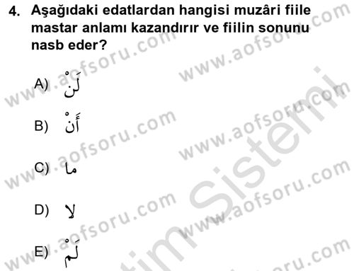 Arapça 2 Dersi 2020 - 2021 Yılı Yaz Okulu Sınav Soruları 4. Soru