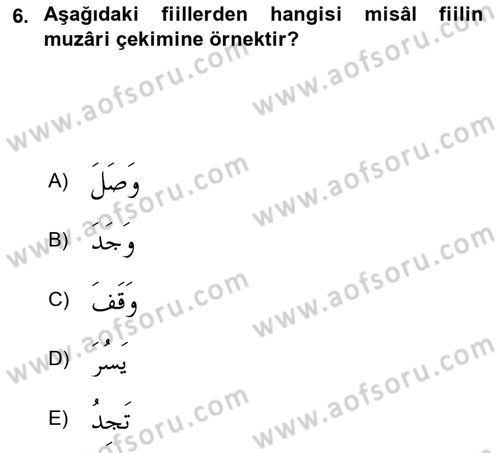 Arapça 2 Dersi 2020 - 2021 Yılı Yaz Okulu Sınav Soruları 6. Soru