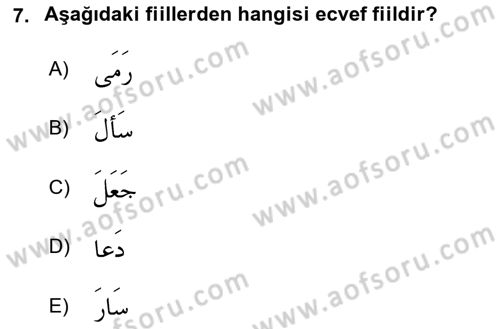 Arapça 2 Dersi 2020 - 2021 Yılı Yaz Okulu Sınav Soruları 7. Soru