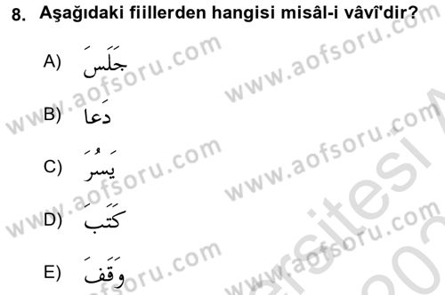 Arapça 2 Dersi 2020 - 2021 Yılı Yaz Okulu Sınav Soruları 8. Soru