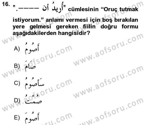 Arapça 2 Dersi 2021 - 2022 Yılı (Vize) Ara Sınav Soruları 16. Soru