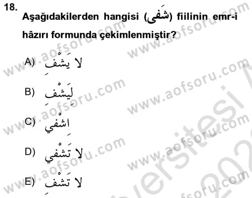 Arapça 2 Dersi 2021 - 2022 Yılı (Vize) Ara Sınavı 18. Soru