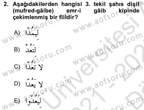 Arapça 2 Dersi 2021 - 2022 Yılı (Vize) Ara Sınav Soruları 2. Soru