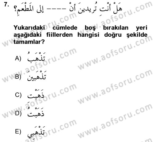 Arapça 2 Dersi 2021 - 2022 Yılı (Vize) Ara Sınav Soruları 7. Soru