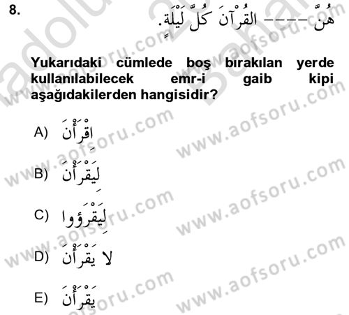 Arapça 2 Dersi 2021 - 2022 Yılı (Vize) Ara Sınav Soruları 8. Soru
