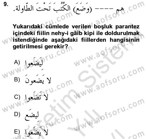 Arapça 2 Dersi 2021 - 2022 Yılı (Vize) Ara Sınav Soruları 9. Soru