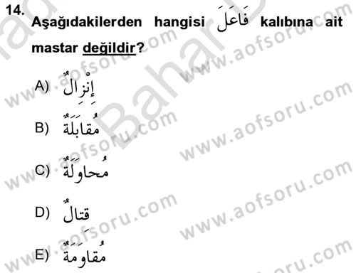 Arapça 2 Dersi 2021 - 2022 Yılı (Final) Dönem Sonu Sınav Soruları 14. Soru