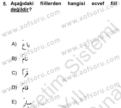 Arapça 2 Dersi 2021 - 2022 Yılı (Final) Dönem Sonu Sınav Soruları 5. Soru