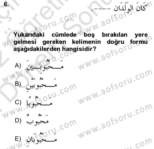 Arapça 2 Dersi 2021 - 2022 Yılı (Final) Dönem Sonu Sınav Soruları 6. Soru