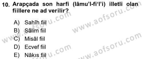 Arapça 2 Dersi 2021 - 2022 Yılı Yaz Okulu Sınav Soruları 10. Soru