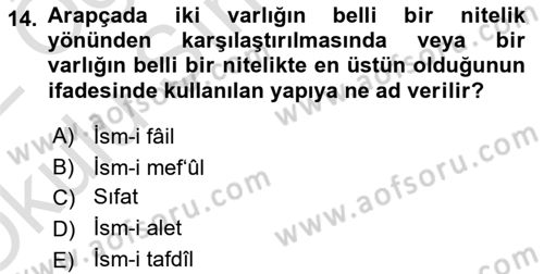 Arapça 2 Dersi 2021 - 2022 Yılı Yaz Okulu Sınav Soruları 14. Soru