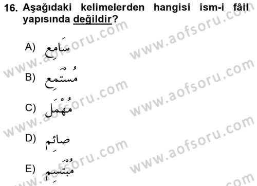 Arapça 2 Dersi 2021 - 2022 Yılı Yaz Okulu Sınav Soruları 16. Soru