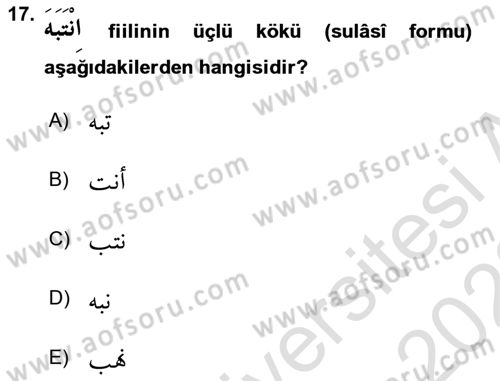 Arapça 2 Dersi 2021 - 2022 Yılı Yaz Okulu Sınav Soruları 17. Soru