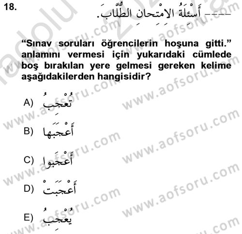 Arapça 2 Dersi 2021 - 2022 Yılı Yaz Okulu Sınav Soruları 18. Soru