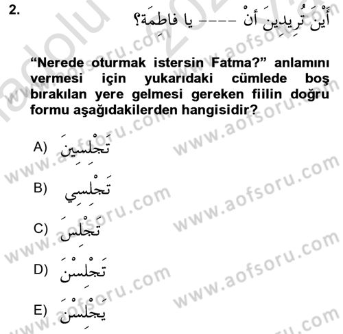 Arapça 2 Dersi 2021 - 2022 Yılı Yaz Okulu Sınavı 2. Soru