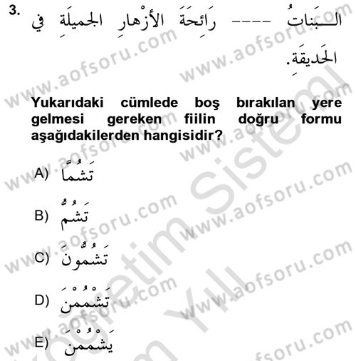 Arapça 2 Dersi 2021 - 2022 Yılı Yaz Okulu Sınav Soruları 3. Soru