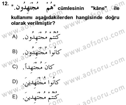 Arapça 2 Dersi 2022 - 2023 Yılı Yaz Okulu Sınav Soruları 12. Soru