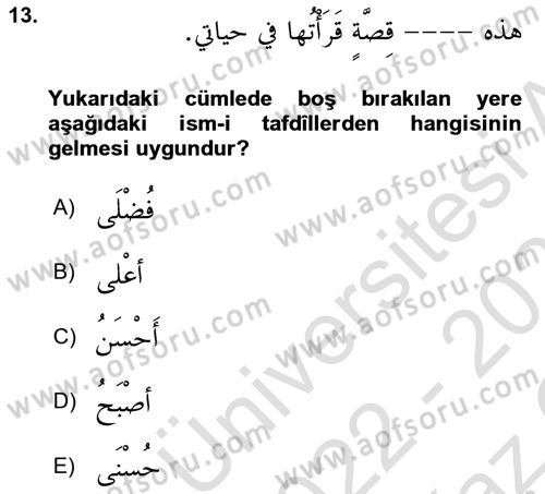Arapça 2 Dersi 2022 - 2023 Yılı Yaz Okulu Sınav Soruları 13. Soru