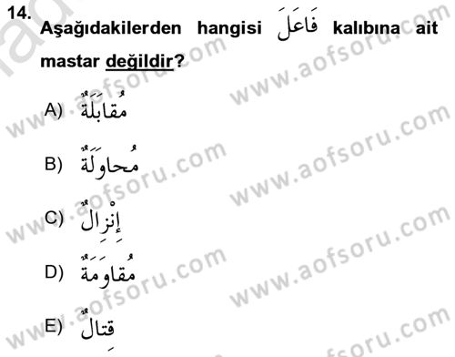 Arapça 2 Dersi 2022 - 2023 Yılı Yaz Okulu Sınav Soruları 14. Soru