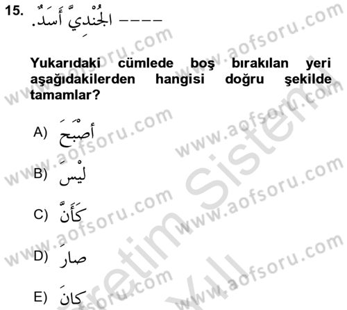 Arapça 2 Dersi 2022 - 2023 Yılı Yaz Okulu Sınav Soruları 15. Soru