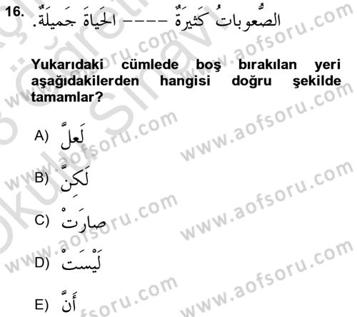 Arapça 2 Dersi 2022 - 2023 Yılı Yaz Okulu Sınav Soruları 16. Soru
