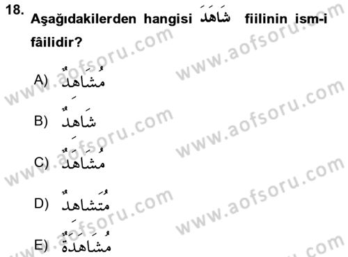 Arapça 2 Dersi 2022 - 2023 Yılı Yaz Okulu Sınavı 18. Soru