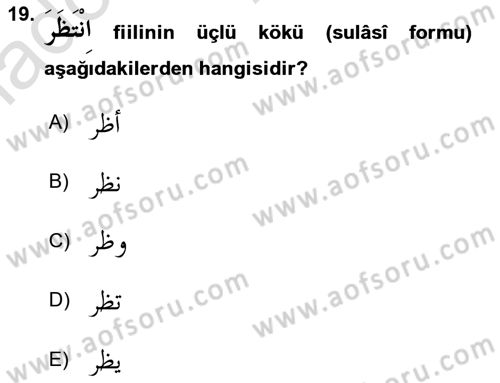 Arapça 2 Dersi 2022 - 2023 Yılı Yaz Okulu Sınav Soruları 19. Soru