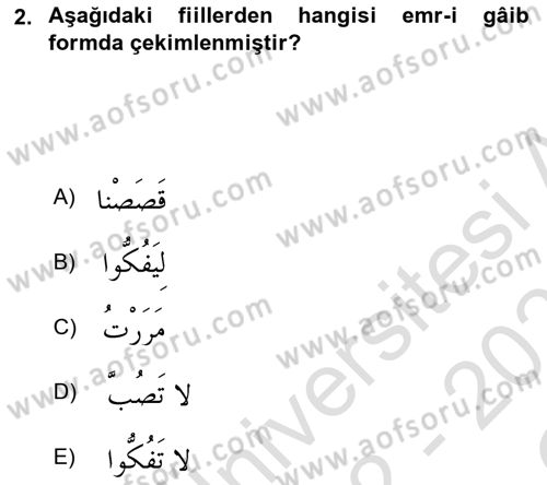 Arapça 2 Dersi 2022 - 2023 Yılı Yaz Okulu Sınav Soruları 2. Soru