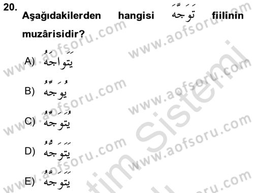Arapça 2 Dersi 2022 - 2023 Yılı Yaz Okulu Sınav Soruları 20. Soru