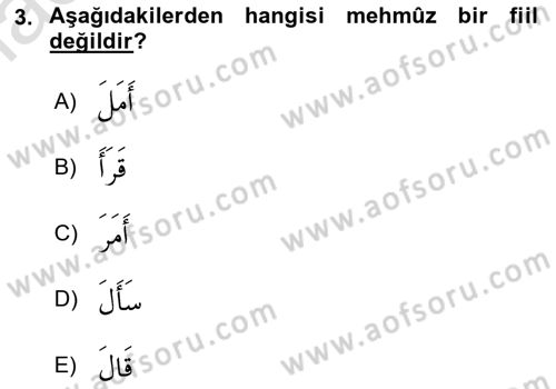 Arapça 2 Dersi 2022 - 2023 Yılı Yaz Okulu Sınav Soruları 3. Soru
