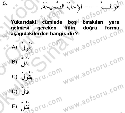 Arapça 2 Dersi 2022 - 2023 Yılı Yaz Okulu Sınav Soruları 5. Soru