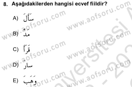 Arapça 2 Dersi 2022 - 2023 Yılı Yaz Okulu Sınav Soruları 8. Soru