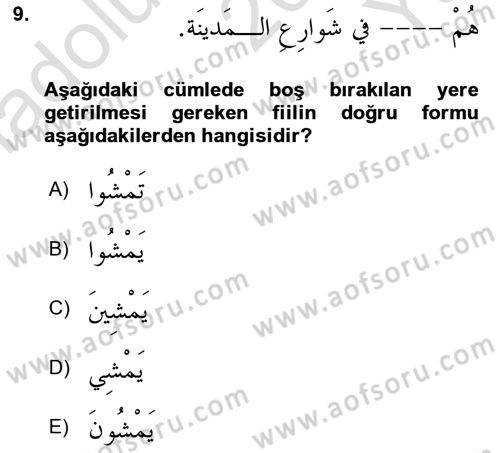 Arapça 2 Dersi 2022 - 2023 Yılı Yaz Okulu Sınav Soruları 9. Soru