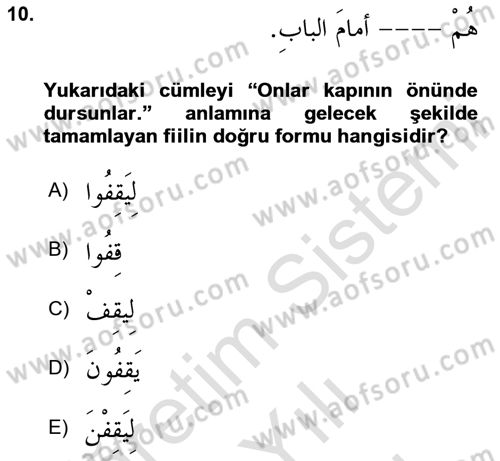 Arapça 2 Dersi 2023 - 2024 Yılı (Vize) Ara Sınav Soruları 10. Soru