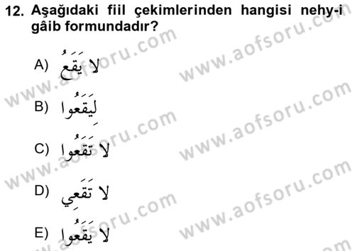 Arapça 2 Dersi 2023 - 2024 Yılı (Vize) Ara Sınav Soruları 12. Soru