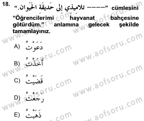 Arapça 2 Dersi 2023 - 2024 Yılı (Vize) Ara Sınav Soruları 18. Soru