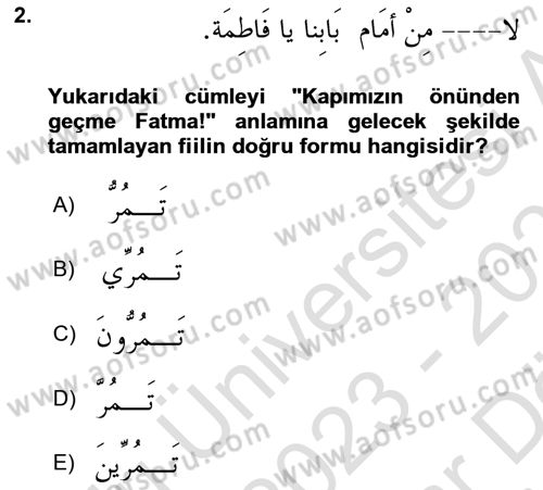 Arapça 2 Dersi 2023 - 2024 Yılı (Vize) Ara Sınav Soruları 2. Soru