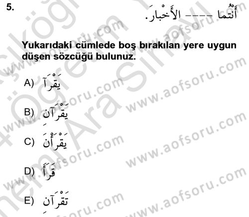 Arapça 2 Dersi 2023 - 2024 Yılı (Vize) Ara Sınav Soruları 5. Soru