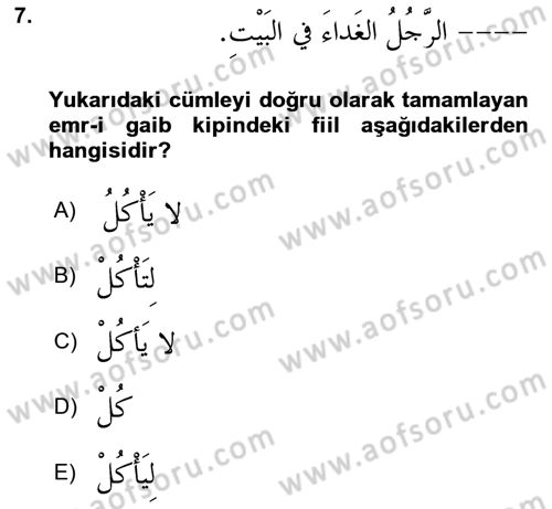 Arapça 2 Dersi 2023 - 2024 Yılı (Vize) Ara Sınav Soruları 7. Soru