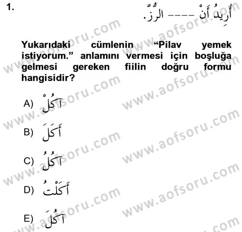 Arapça 2 Dersi 2023 - 2024 Yılı (Final) Dönem Sonu Sınav Soruları 1. Soru