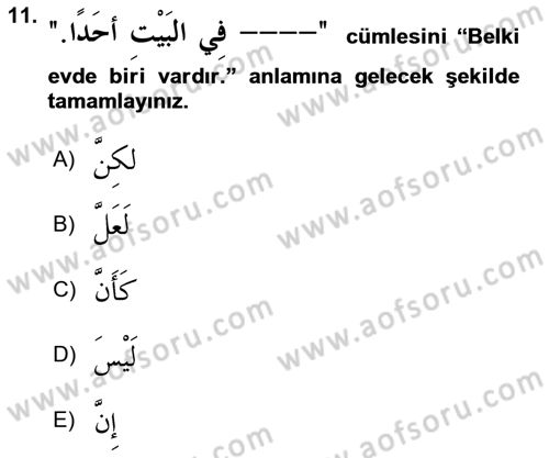 Arapça 2 Dersi 2023 - 2024 Yılı (Final) Dönem Sonu Sınav Soruları 11. Soru