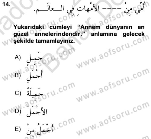 Arapça 2 Dersi 2023 - 2024 Yılı (Final) Dönem Sonu Sınav Soruları 14. Soru